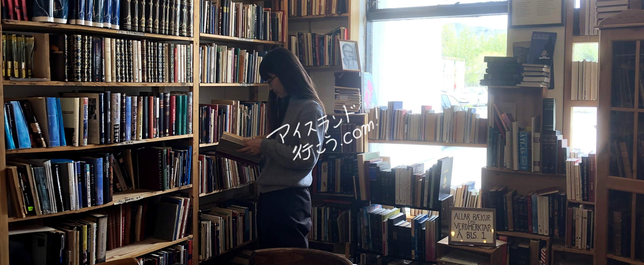 アイスランド　古本屋めぐり